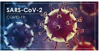 Bộ Y tế: Phòng chống dịch bệnh Covid-19